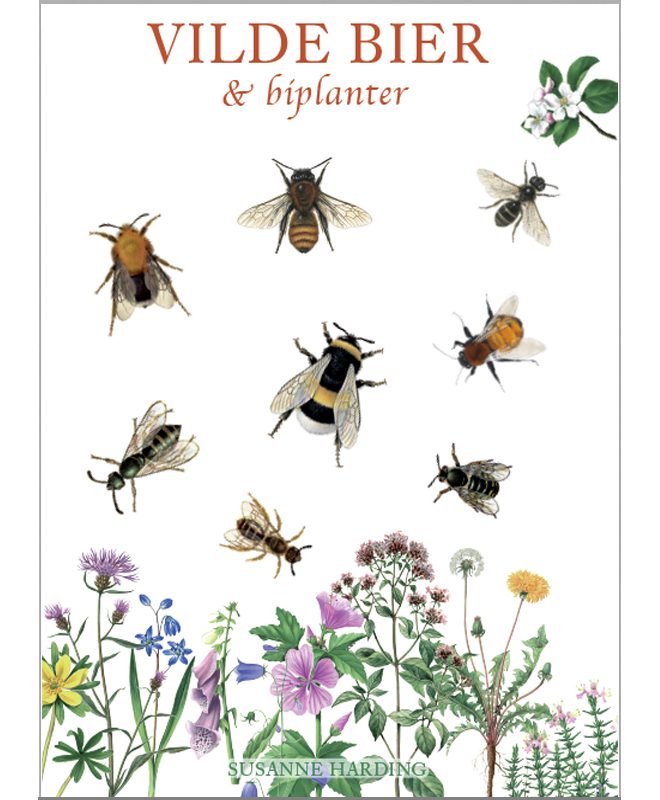 Bog: Vilde bier - og biplanter